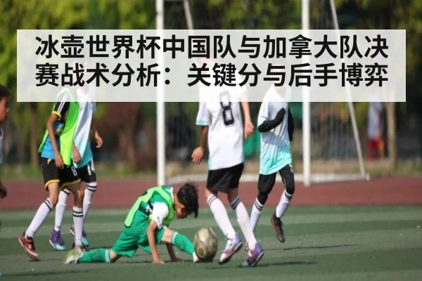 冰壶世界杯中国队与加拿大队决赛战术分析：关键分与后手博弈